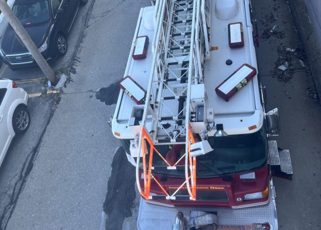 D3AE1D0B-8246-47D2-B648-4B5C5A36A8E8